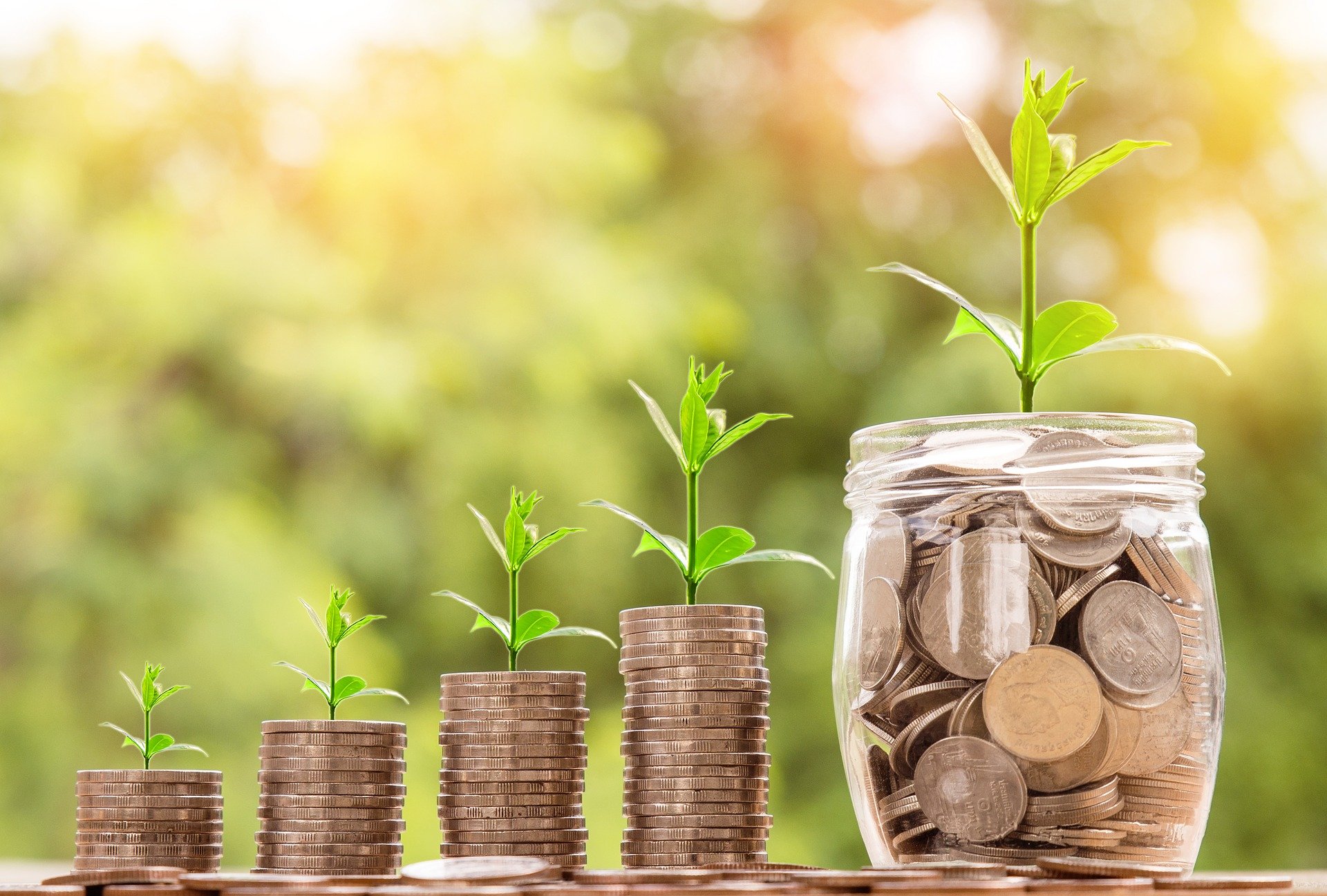 Agriculture Investments
